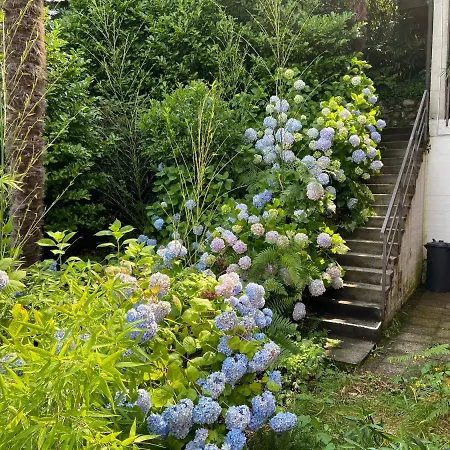 Casa Bella Vista *